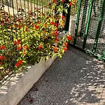 Le Val D'azur 公寓